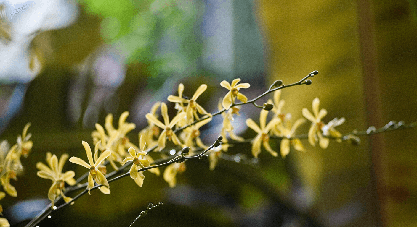 Singapore in Depth: A Full Week Beyond the Stopover